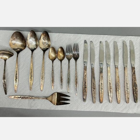 Laurel Mist 17 Piece Place Setting Deep Silver by International - Picture 1 of 10